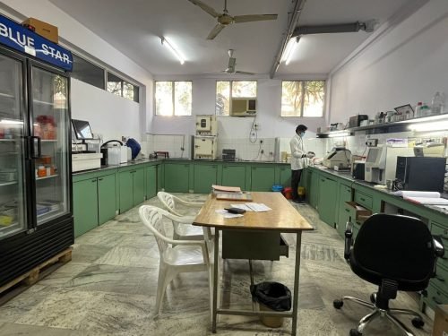 Lab